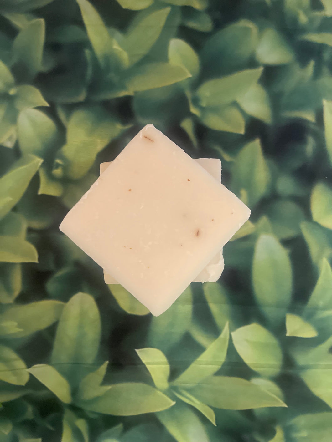 Eucalyptus Aloe Sinus Soap Bar